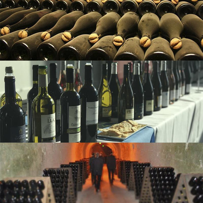 VINO DIRECTORS RED CASE - Vino Wines